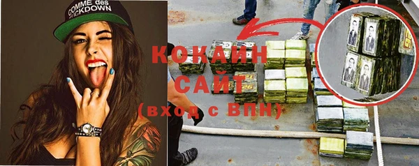 гидропоника Алзамай