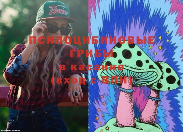 гидропоника Алзамай