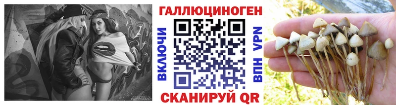 hydra ТОР  Лагань  Галлюциногенные грибы Magic Shrooms  наркошоп 